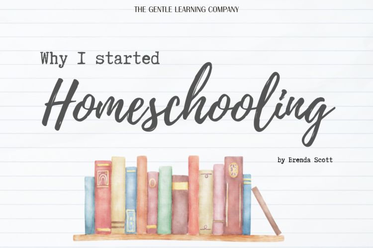 why I started homeschooling